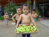 2009-08-3 (mon) ̉摜